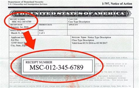 How to check your immigration case status and find processing ti.
